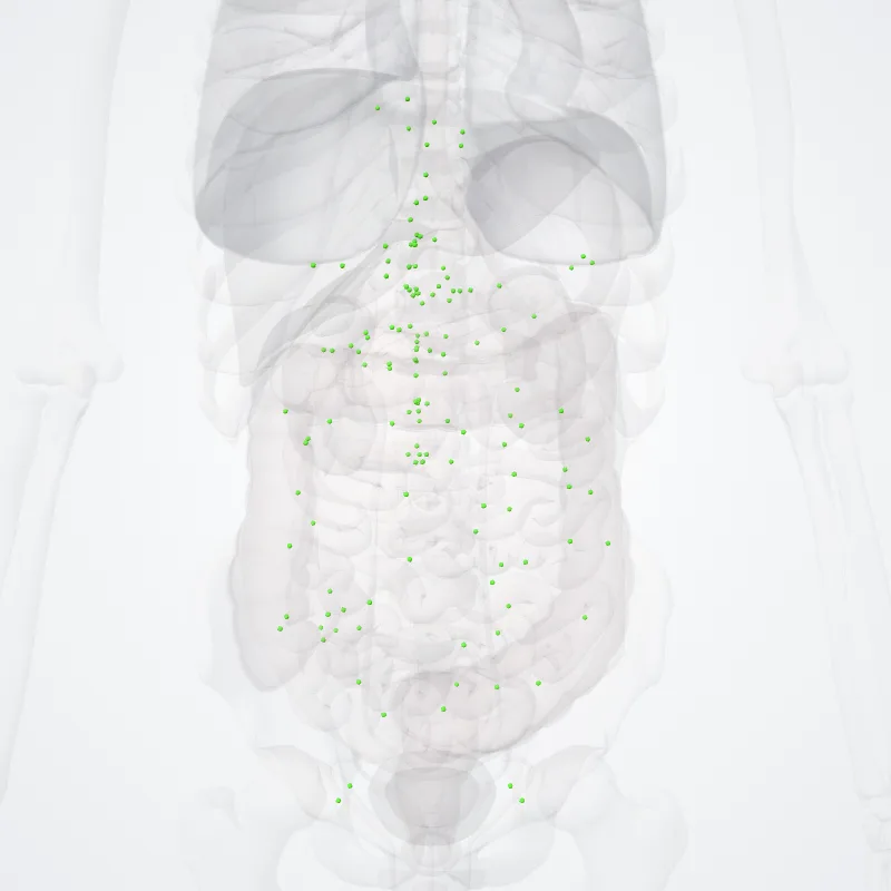 Nodi lymphoidei abdominis (Abdominal lymph nodes) hervorgehoben in einem 3D-Modell des menschlichen Körpers