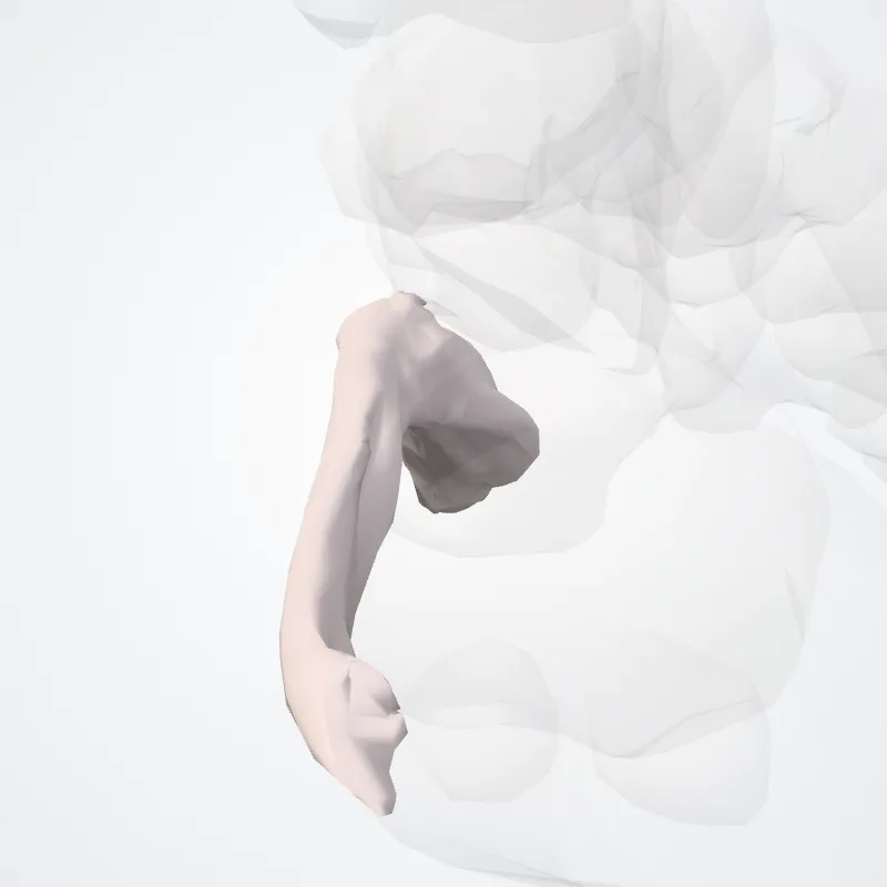 Abductor hallucis highlighted in a 3D model of the human body