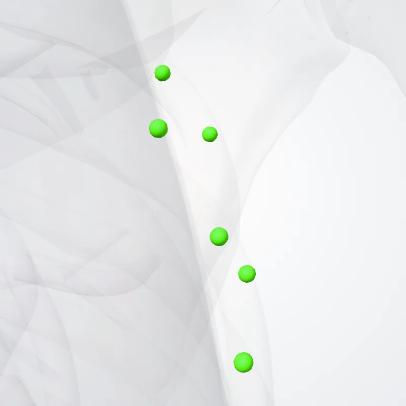 Nodi axillares anteriores nodi pectorales (Anterior axillary nodes) hervorgehoben in einem 3D-Modell des menschlichen Körpers