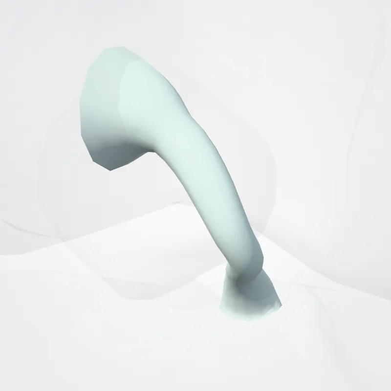 Ligamentum cruciatum anterius (Anterior cruciate ligament) hervorgehoben in einem 3D-Modell des menschlichen Körpers
