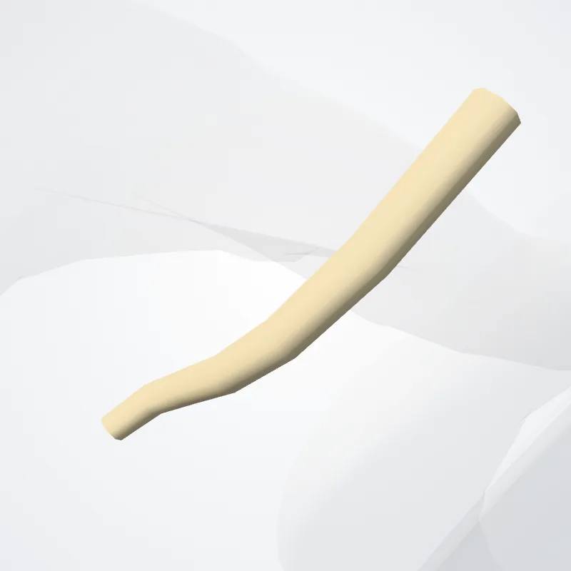 Anterior division of superior trunk of brachial plexus (Divisio anterior trunci superioris plexus brachialis) highlighted in a 3D model of the human body