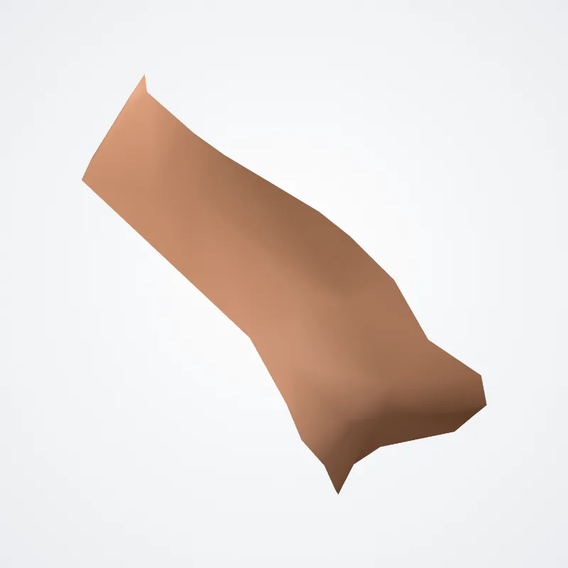 Incisura anterior auriculae (Anterior notch of auricle) hervorgehoben in einem 3D-Modell des menschlichen Körpers