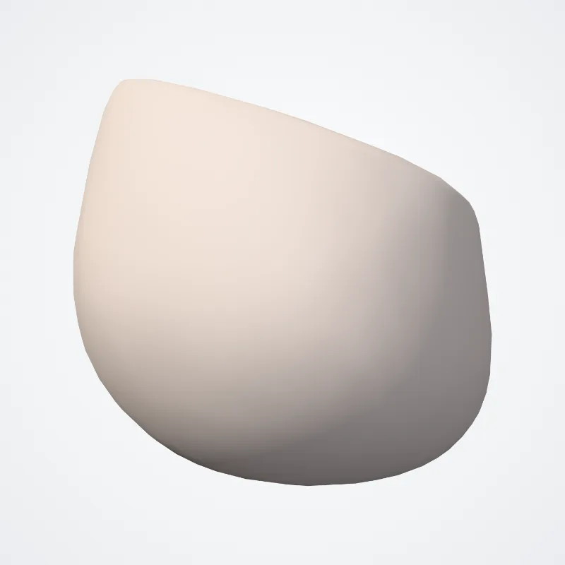 Anterior semilunar leaflet of pulmonary valve (Valvula semilunaris anterior valvae trunci pulmonalis) highlighted in a 3D model of the human body