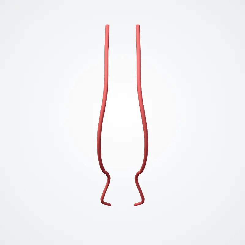 Anterior septal branches of anterior ethmoidal artery (Rami septales anteriores arteriae ethmoideae anterioris) highlighted in a 3D model of the human body