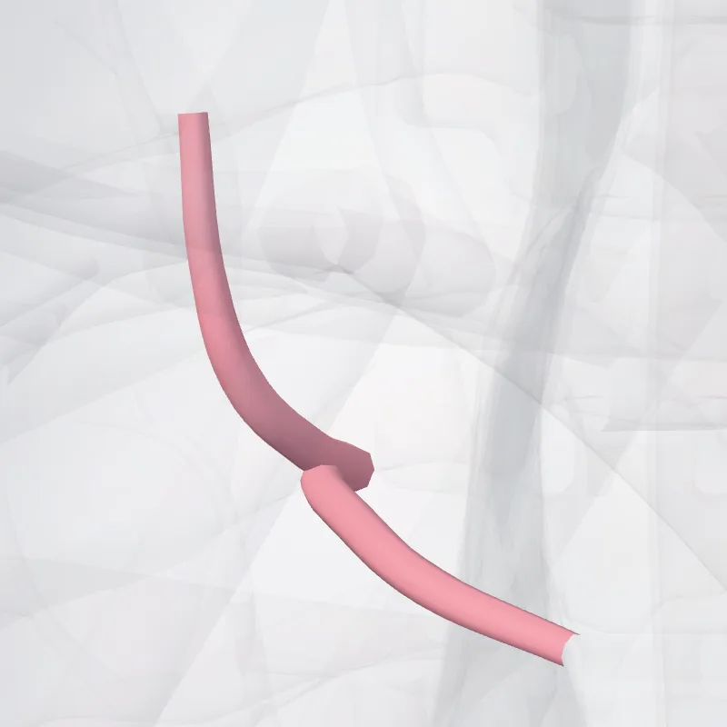 Anterior vein of right lung (Vena anterior pulmonis dextri) highlighted in a 3D model of the human body