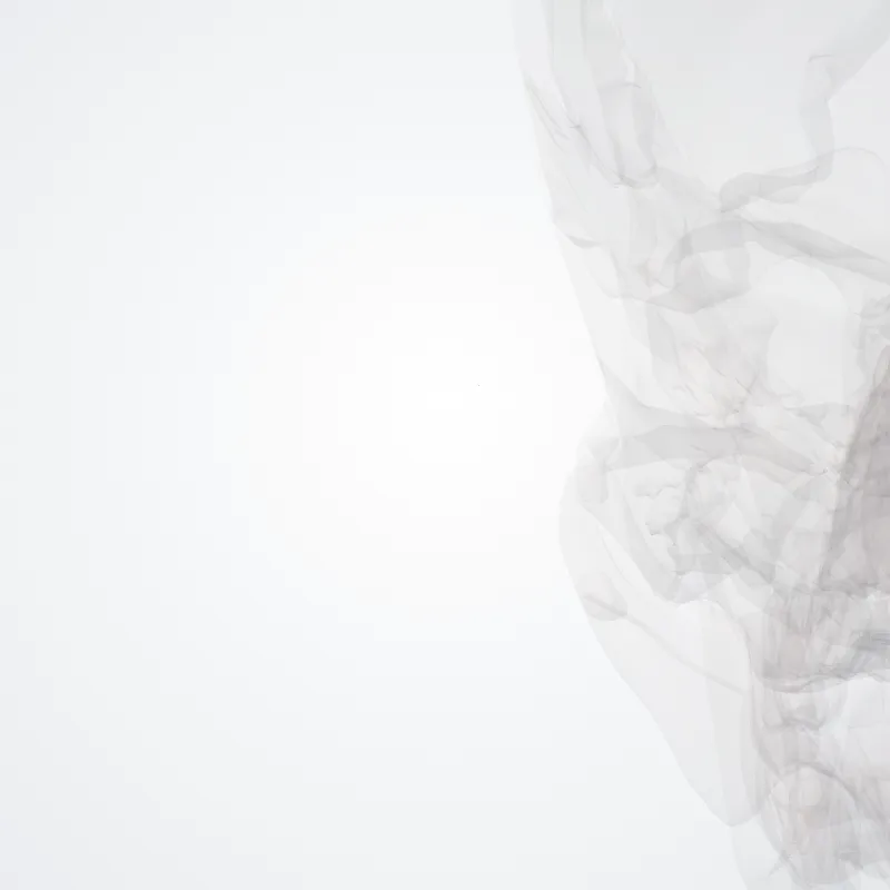 Antihelix highlighted in a 3D model of the human body