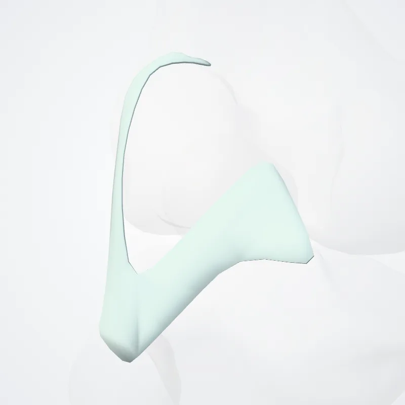 Ligamentum popliteum arcuatum (Arcuate popliteal ligament) hervorgehoben in einem 3D-Modell des menschlichen Körpers