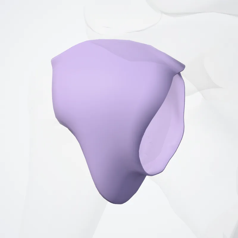 Capsula articularis articulatio glenohumeralis (Articular capsule of glenohumeral joint) hervorgehoben in einem 3D-Modell des menschlichen Körpers