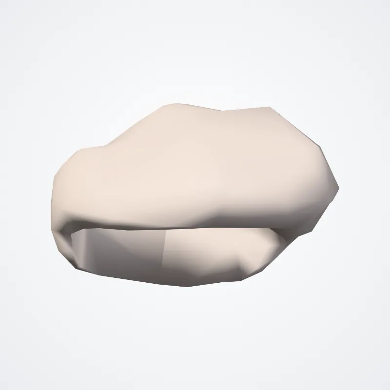 Discus articulationis temporomandibularis (Articular disc of temporomandibular joint) hervorgehoben in einem 3D-Modell des menschlichen Körpers
