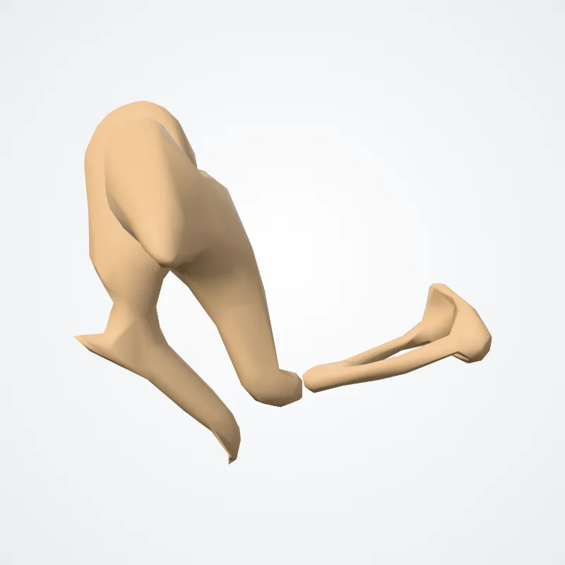 Auditory ossicles (Ossicula auditus) highlighted in a 3D model of the human body