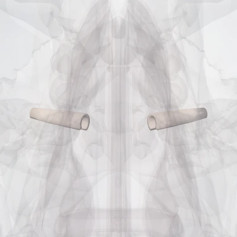 Auditory tube (Tuba auditiva) highlighted in a 3D model of the human body
