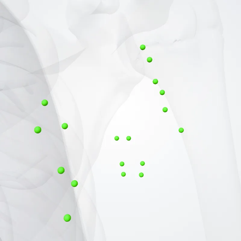 Nodi axillares (Axillary nodes) hervorgehoben in einem 3D-Modell des menschlichen Körpers