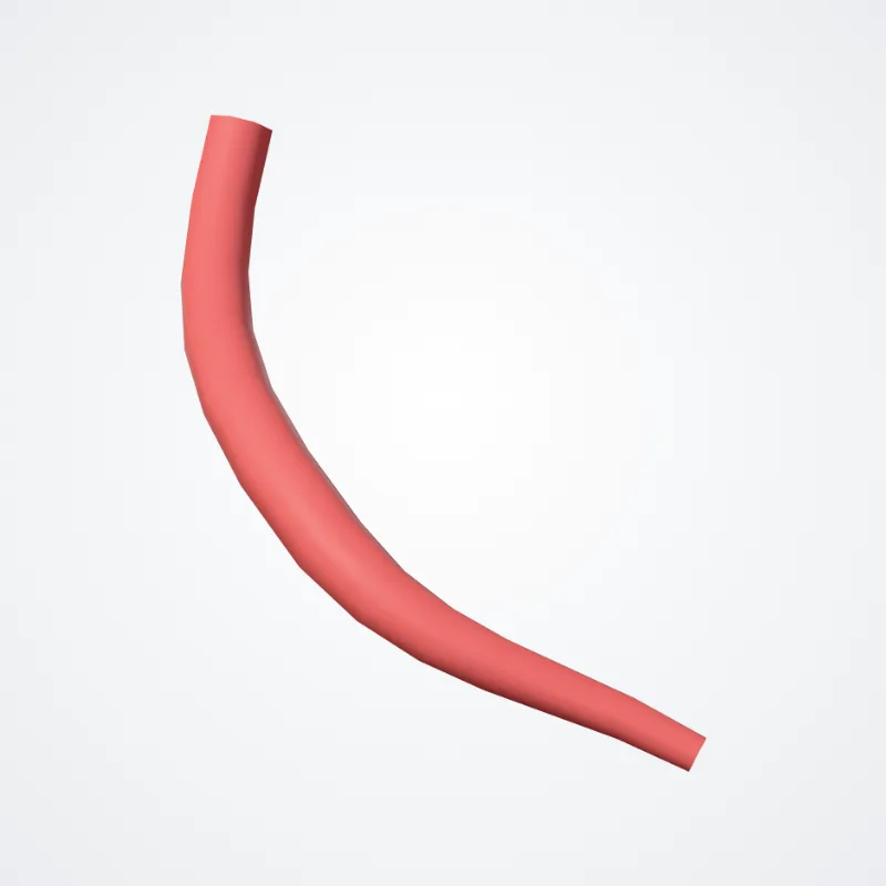 Calcaneal branches of fibular artery (Rami calcanei arteriae fibularis) highlighted in a 3D model of the human body