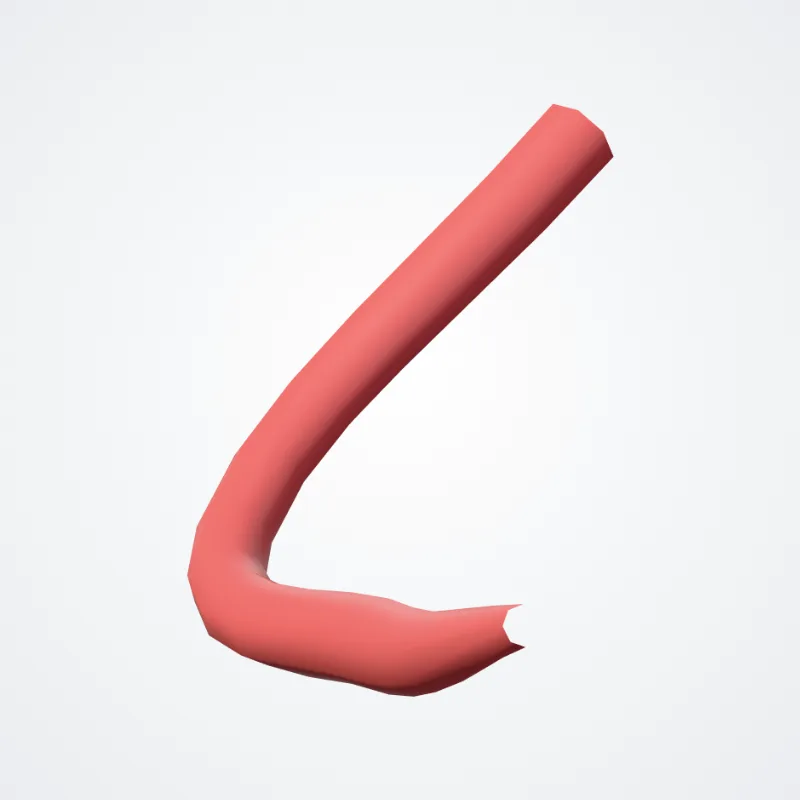 Rami calcanei arteriae tibialis posterioris (Calcaneal branches of posterior tibial artery) hervorgehoben in einem 3D-Modell des menschlichen Körpers