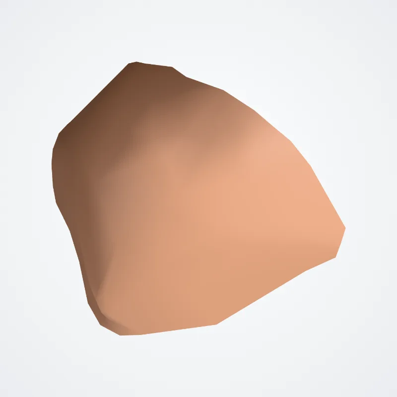 Cavitas conchae (Cavity of concha) hervorgehoben in einem 3D-Modell des menschlichen Körpers
