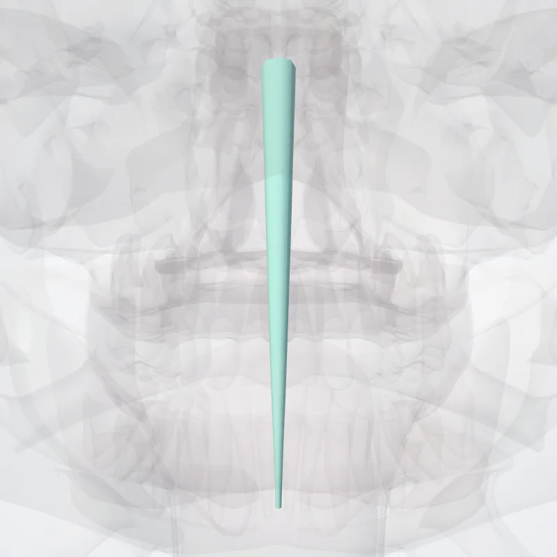 Central canal' highlighted in a 3D model of the human body