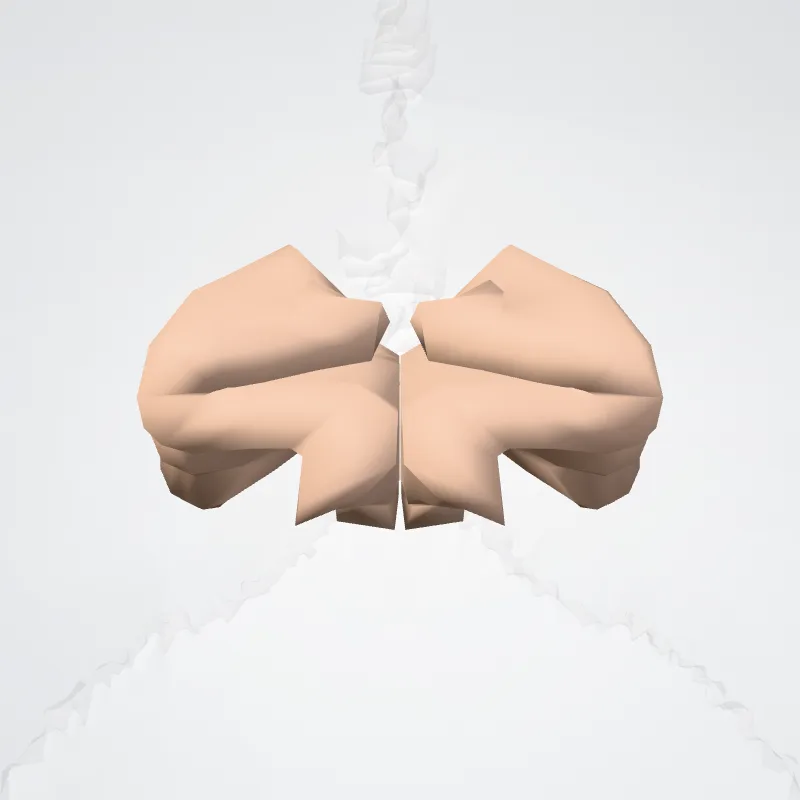 Cingulate gyrus and sulcus (Middle posterior part) hervorgehoben in einem 3D-Modell des menschlichen Körpers