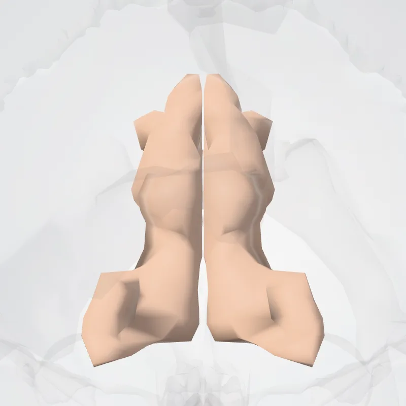 Cingulate gyrus and sulcus (Posterior dorsal part) highlighted in a 3D model of the human body