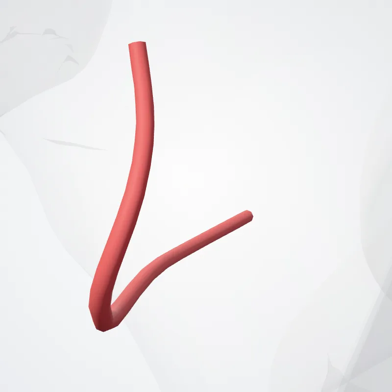 Circumflex scapular artery (Arteria circumflexa scapulae) highlighted in a 3D model of the human body