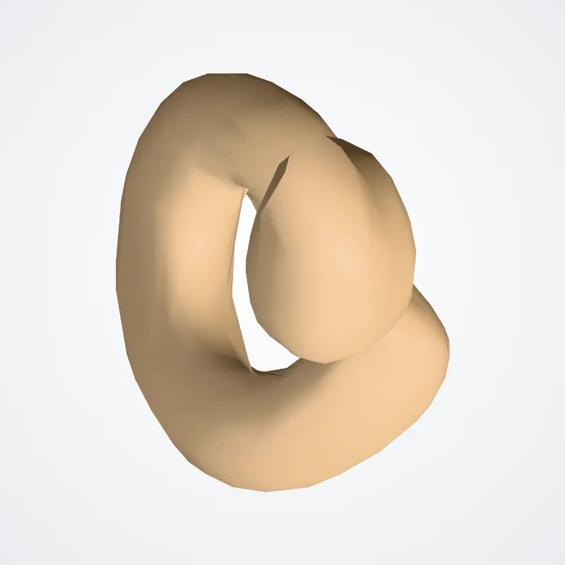 Cochlea highlighted in a 3D model of the human body