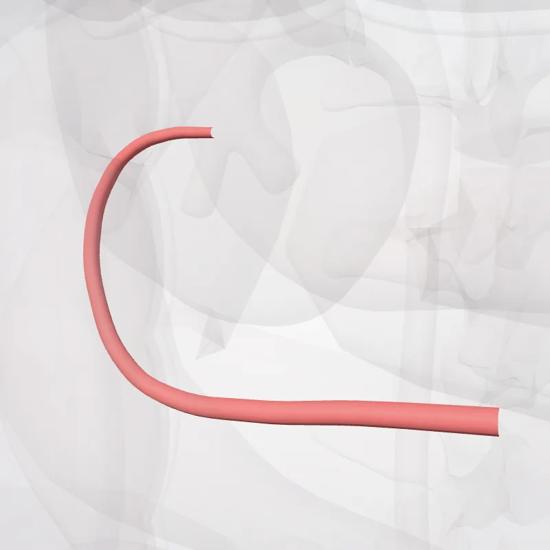 Ramus colicus arteriae ileocolicae (Colic branch of ileocolic artery) hervorgehoben in einem 3D-Modell des menschlichen Körpers