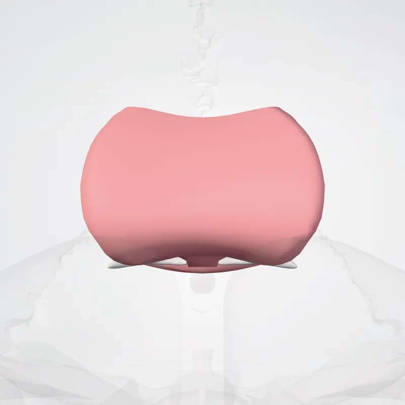 Commissural fibres of telencephalon (Fibrae commissurales telencephali) highlighted in a 3D model of the human body