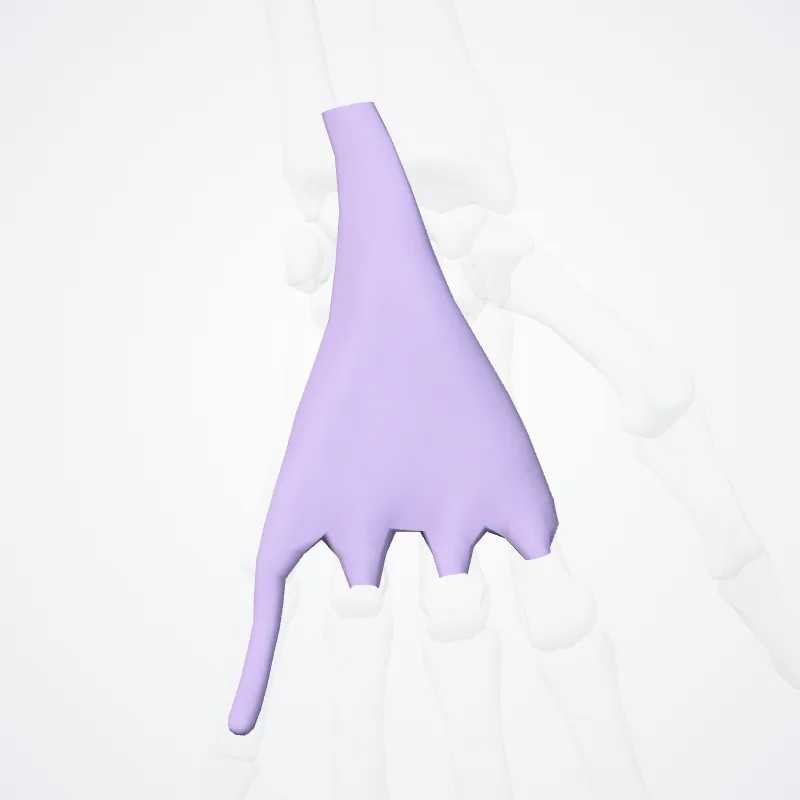 Vagina communis tendinum flexorum (Common flexor tendon sheath) hervorgehoben in einem 3D-Modell des menschlichen Körpers