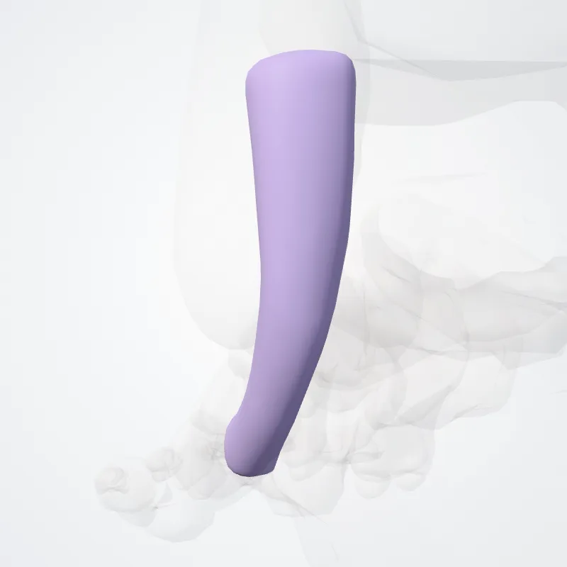 Common tendon sheath of fibularis muscles (Vagina communis tendinum musculorum fibularium) highlighted in a 3D model of the human body