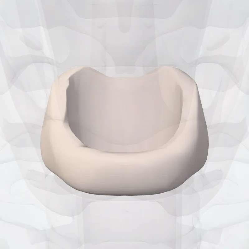 Cricoid cartilage, the structure this landmark is on