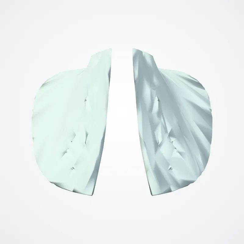 Ligamentum cricopharyngeum (Cricopharyngeal ligament) hervorgehoben in einem 3D-Modell des menschlichen Körpers