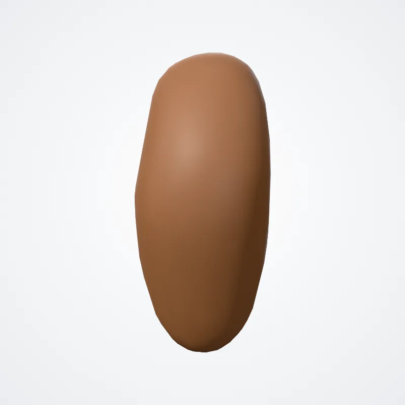 Culmen hervorgehoben in einem 3D-Modell des menschlichen Körpers