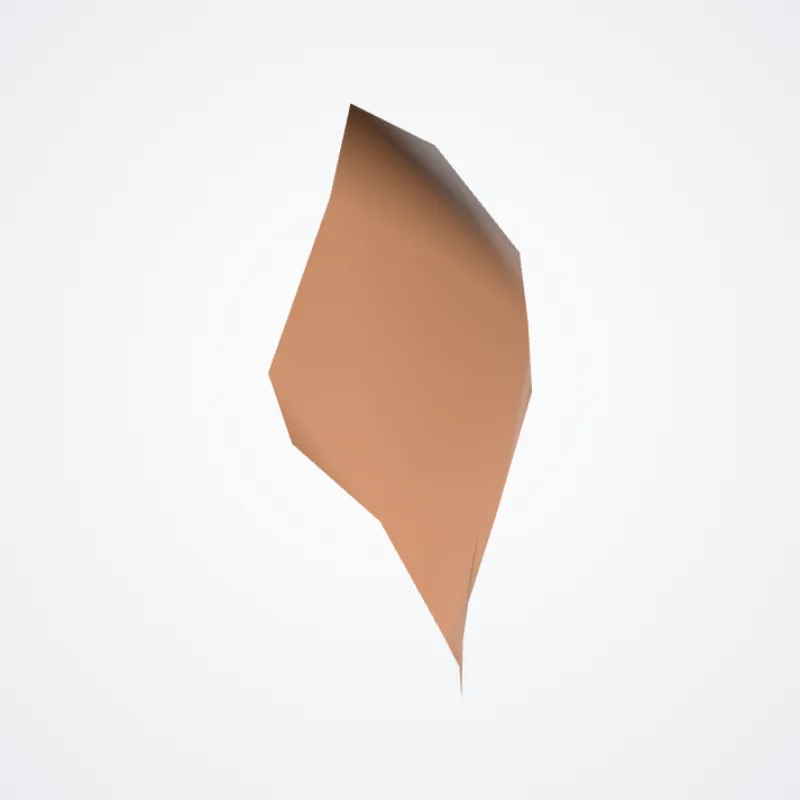 Cymba conchae hervorgehoben in einem 3D-Modell des menschlichen Körpers