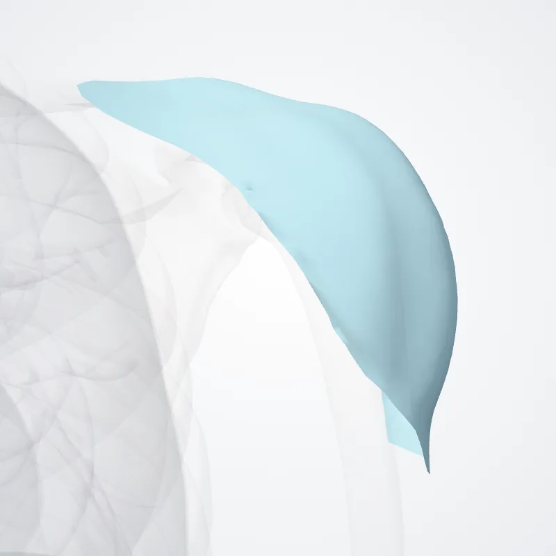 Deltoid fascia (Fascia deltoidea) highlighted in a 3D model of the human body