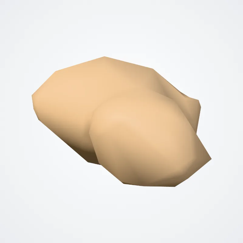 Phalanx distalis quintum digitorum pedis (Distal phalanx of fifth finger of foot) hervorgehoben in einem 3D-Modell des menschlichen Körpers