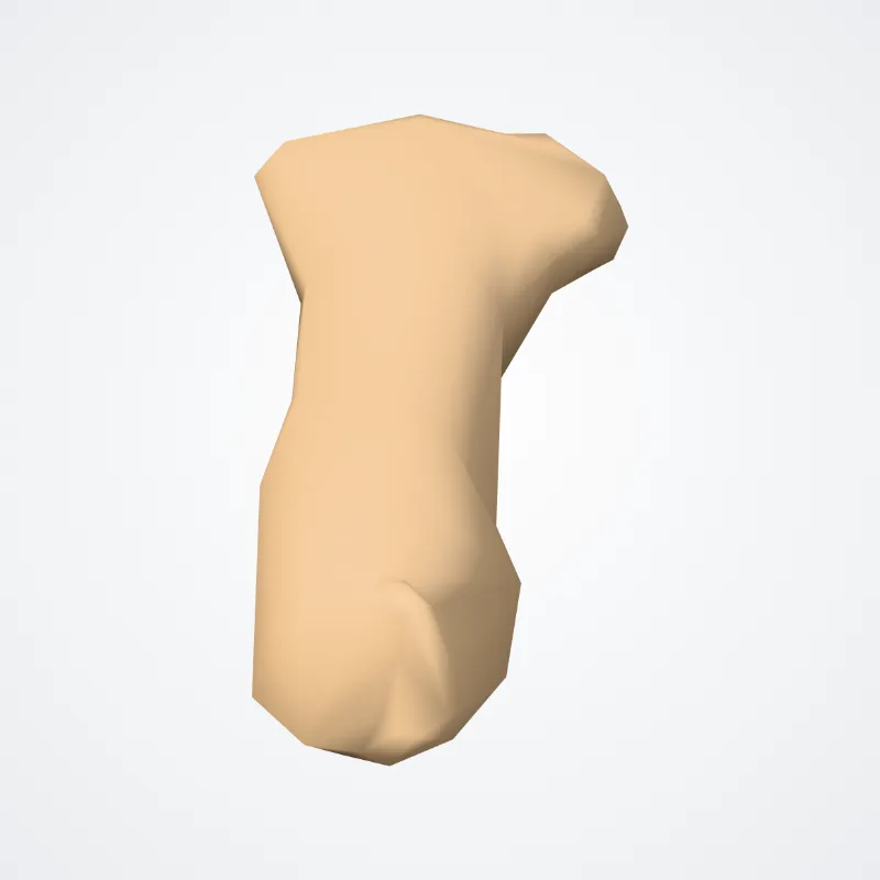 Distal phalanx of fifth finger of hand (Phalanx distalis quintum digitorum manus) highlighted in a 3D model of the human body