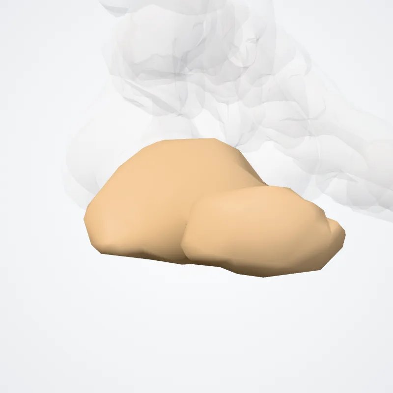 Distal phalanx of first finger of foot (Phalanx distalis primum digitorum pedis) highlighted in a 3D model of the human body