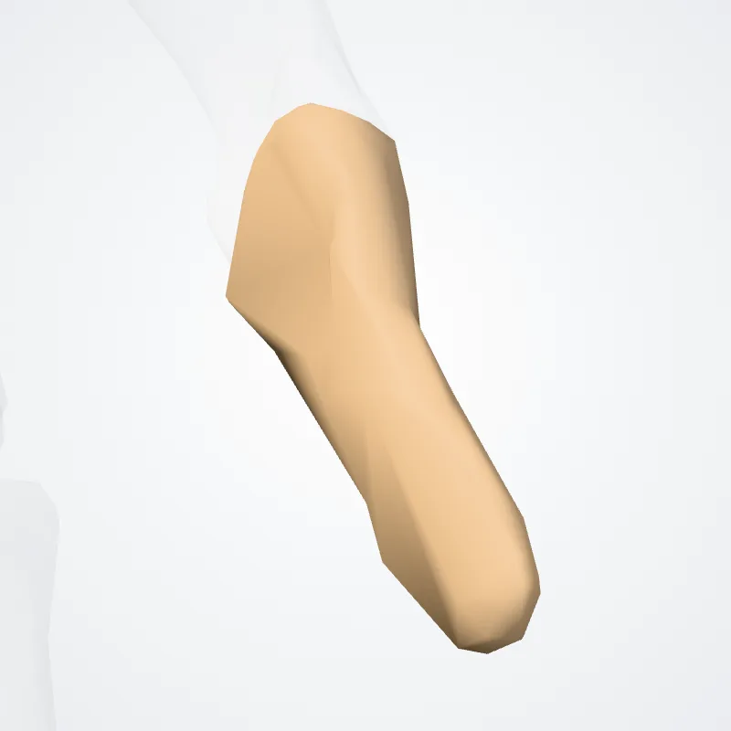 Distal phalanx of first finger of hand (Phalanx distalis primum digitorum manus) highlighted in a 3D model of the human body