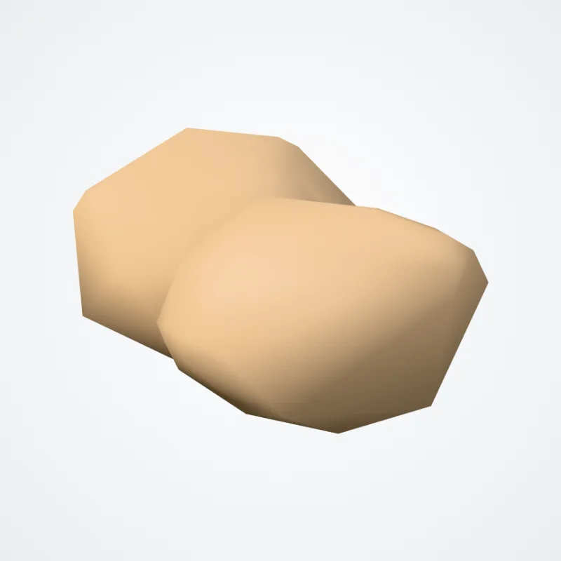 Distal phalanx of second finger of foot (Phalanx distalis secundum digitorum pedis) highlighted in a 3D model of the human body