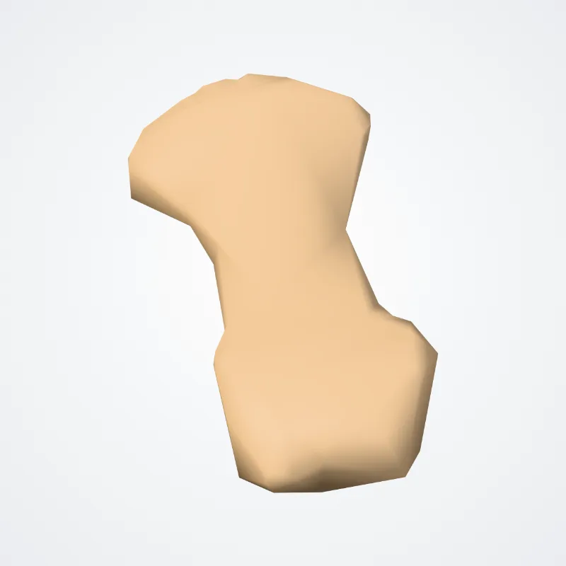 Phalanx distalis secundum digitorum manus (Distal phalanx of second finger of hand) hervorgehoben in einem 3D-Modell des menschlichen Körpers