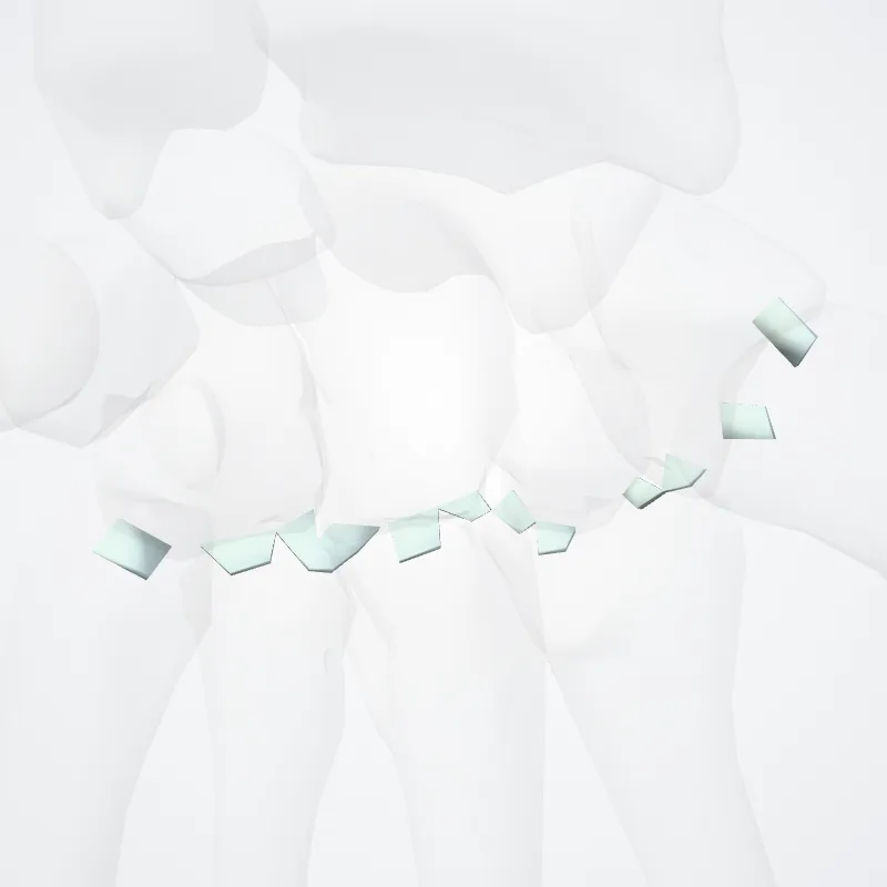 Dorsal carpometacarpal ligaments (Ligamenta carpometacarpea dorsalia) highlighted in a 3D model of the human body