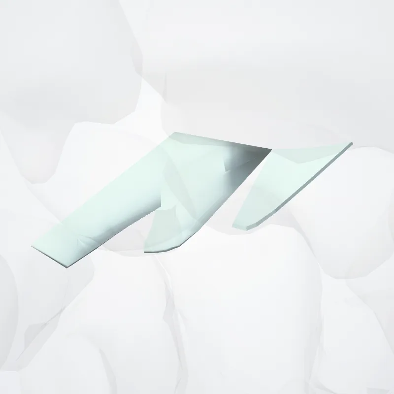 Dorsal radiocarpal ligament (Ligamentum radiocarpeum dorsale) highlighted in a 3D model of the human body