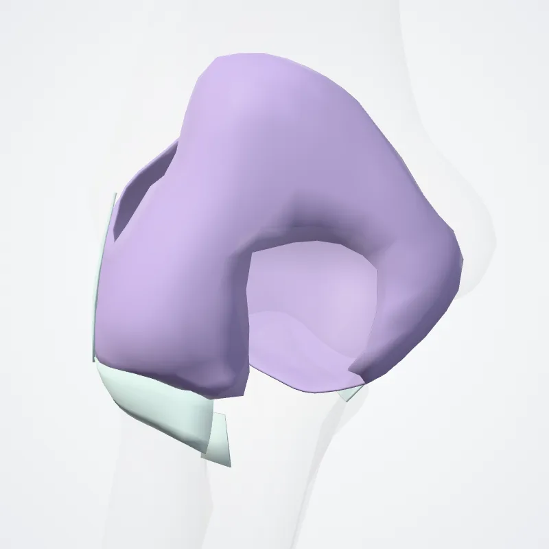 Articulatio cubiti (Elbow joint) hervorgehoben in einem 3D-Modell des menschlichen Körpers