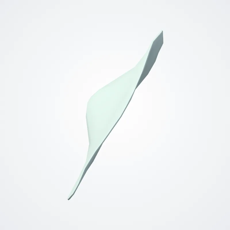 Auris externa (External ear) hervorgehoben in einem 3D-Modell des menschlichen Körpers