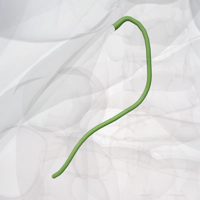 Ductus biliares extrahepatici (Extrahepatic bile ducts) hervorgehoben in einem 3D-Modell des menschlichen Körpers