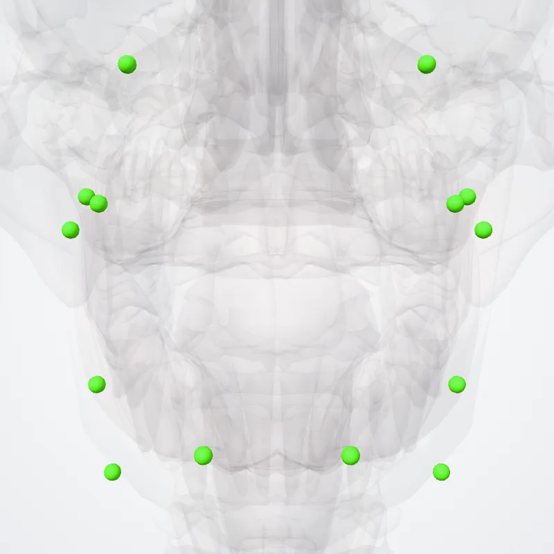Facial nodes (Nodi faciales) highlighted in a 3D model of the human body