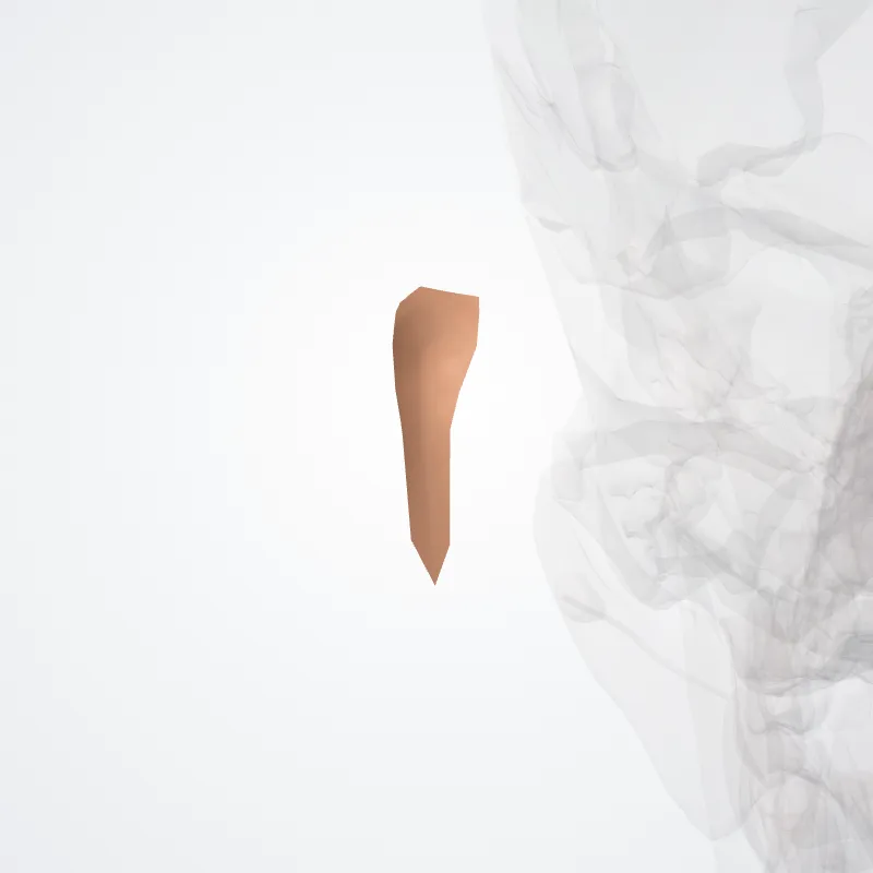 Fossa antihelica hervorgehoben in einem 3D-Modell des menschlichen Körpers