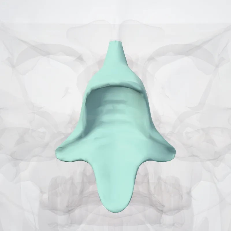 Fourth ventricle (Ventriculus quartus) highlighted in a 3D model of the human body