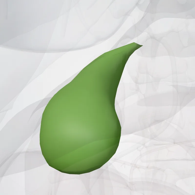 Gallbladder (Vesica biliaris) highlighted in a 3D model of the human body