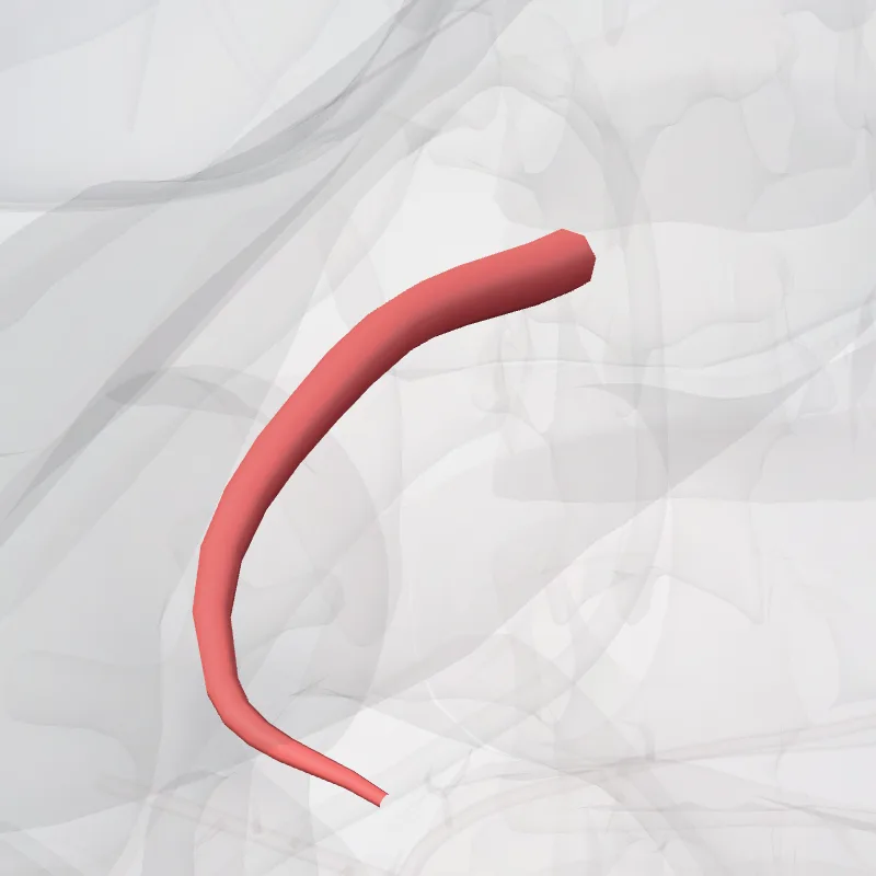 Arteria gastroduodenalis (Gastroduodenal artery) hervorgehoben in einem 3D-Modell des menschlichen Körpers