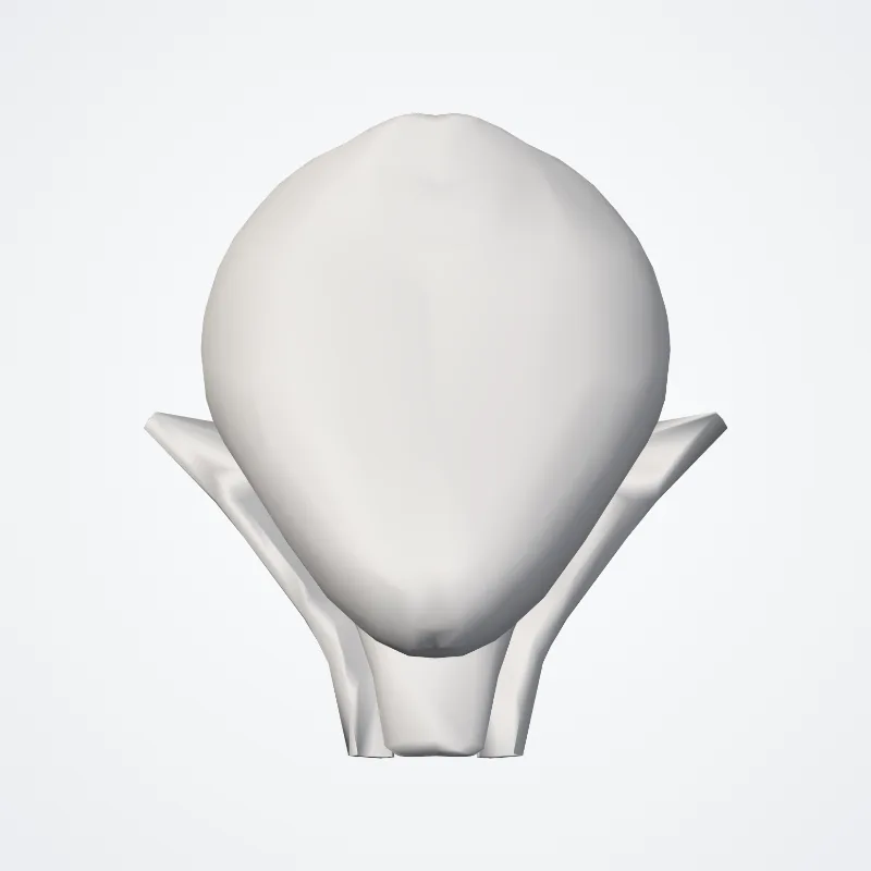 Hypothalamus highlighted in a 3D model of the human body